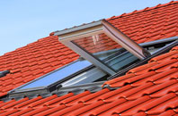 Raisbeck roof window